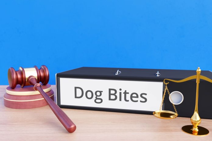 8 Questions To Ask a Dog Bite Injury Lawyer 