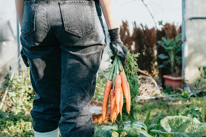 Environmental Farmers